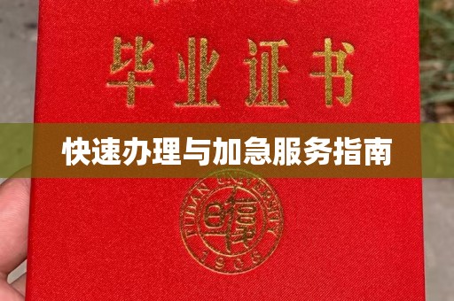 右玉快速办理与加急服务指南