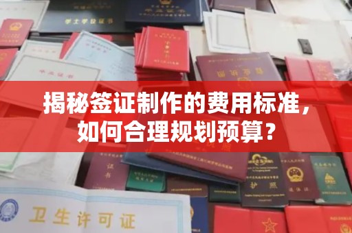右玉揭秘签证制作的费用标准，如何合理规划预算？