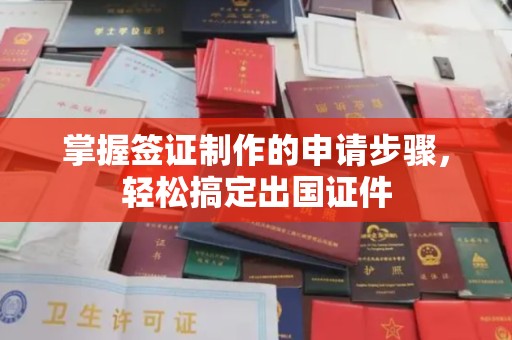 右玉掌握签证制作的申请步骤，轻松搞定出国证件